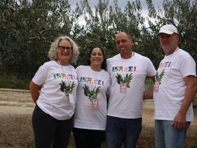 4. Svjetsko prvenstvo u branju maslina