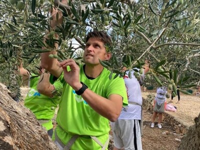 4. Svjetsko prvenstvo u branju maslina