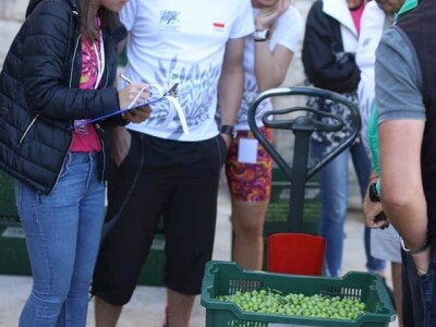 4. Svjetsko prvenstvo u branju maslina