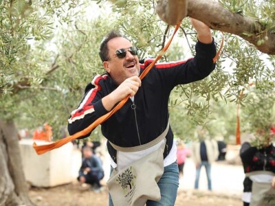 4. Svjetsko prvenstvo u branju maslina