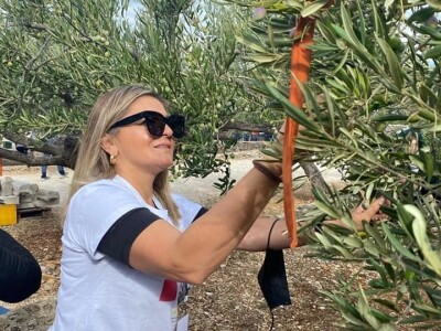 4. Svjetsko prvenstvo u branju maslina