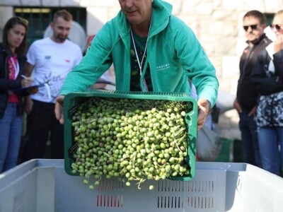 4. Svjetsko prvenstvo u branju maslina