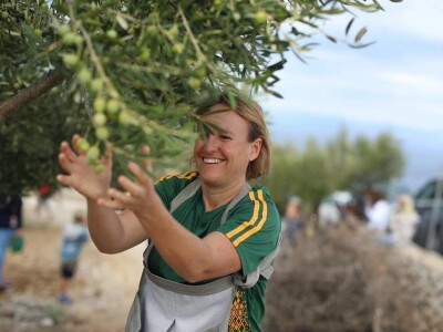 4. Svjetsko prvenstvo u branju maslina