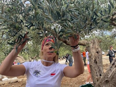 4. Svjetsko prvenstvo u branju maslina