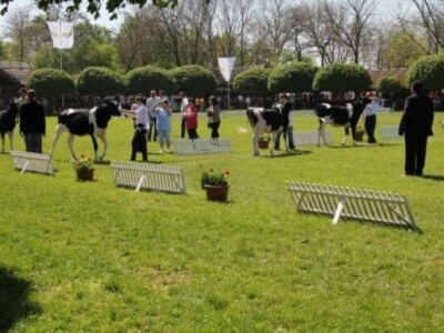 XX. stočarski i ratarski dani u Hódmezővásárhely-u