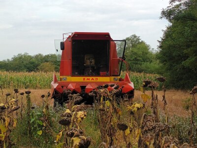 Zmaj kombajni