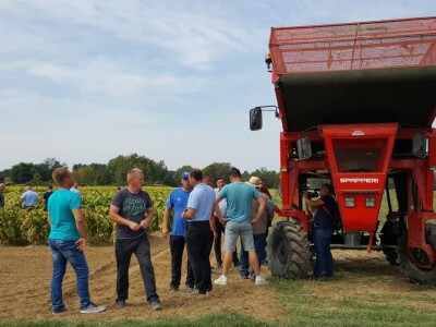 19. Dani polja duhana, Hrvatski duhani