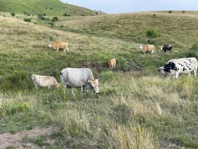 Tešija … ne objaviti još