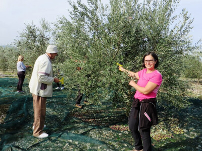 Davor Vasilj: Gorčina i pikantnost ulja ukazuju na nutritivne i zdravstvene vrijednosti maslinovog ulja