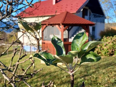Seosko domaćinstvo "Crnjevo"