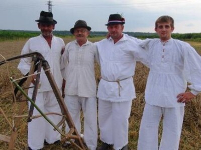 Vršidba u Staroj Subockoj