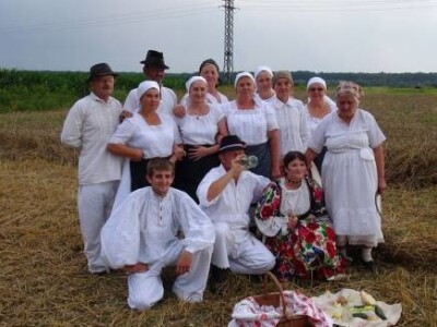 vršidba u Staroj Subockoj