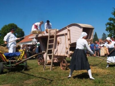 Vršidba u Staroj Subockoj