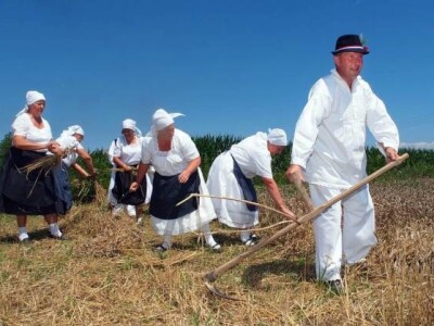 Vršidba u Staroj Subockoj