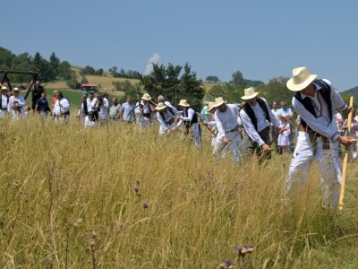 Kosidba na Rajcu 2024