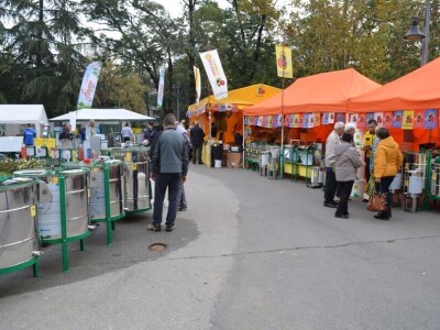 45. Međunarodni pčelarski sajam Tašmajdan 2019 - Beograd