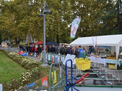 45. Međunarodni pčelarski sajam Tašmajdan 2019 - Beograd