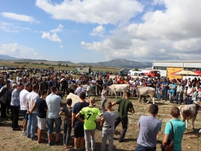 46. Regionalna stočna izložba u Gacku