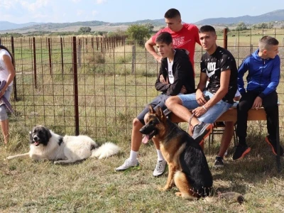 46. Regionalna stočna izložba u Gacku