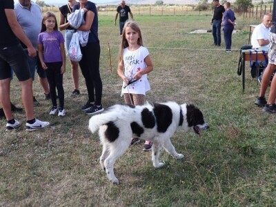 46. Regionalna stočna izložba u Gacku 46. Regionalna stočna izložba u Gacku
