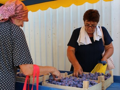 46. sajam šljive u Gradačcu