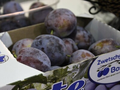 46. sajam šljive u Gradačcu