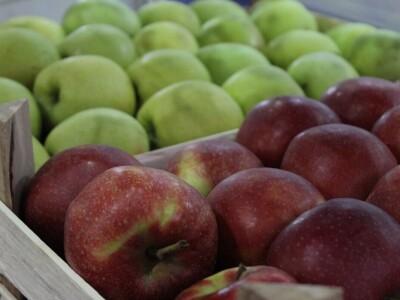 46. sajam šljive u Gradačcu