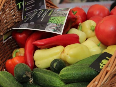 46. sajam šljive u Gradačcu