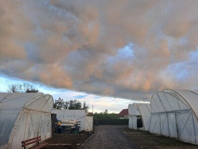 Szentesi paprike i rajčice ponos su Mađarske
