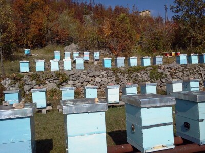 Međunarodni dani meda