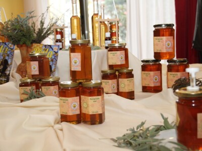 Međunarodni dani meda