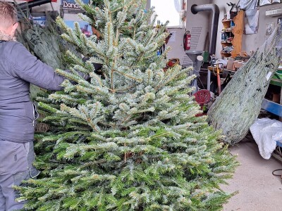 Obitelj Vrbanić iz Donjeg Miholjca