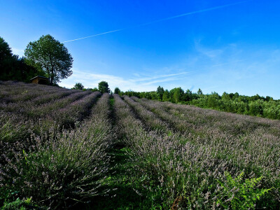 Prekrasan prizor koji naprosto očarava
