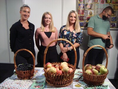 47. Sajam šljive u Gradačcu