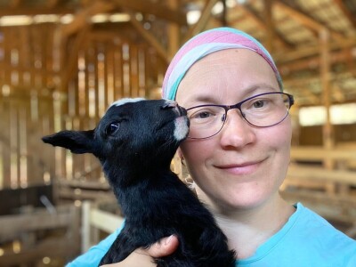Farma Tadići - Iz Finske u Srbiju da čuve ovce