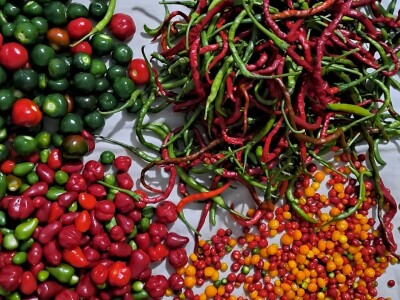 OPG Preložnjak Nedelišće