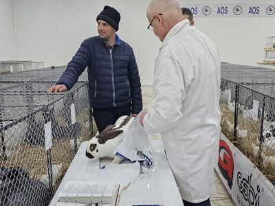 49. Međunarodni sajam peradarstva, Sombor