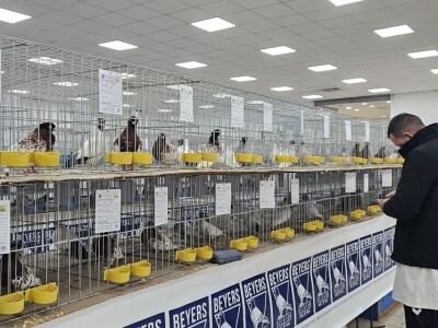 49. Međunarodni sajam peradarstva, Sombor