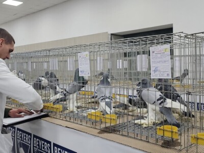 49. Međunarodni sajam peradarstva, Sombor