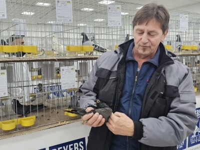 49. Međunarodni sajam peradarstva, Sombor