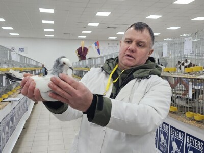 49. Međunarodni sajam peradarstva, Sombor