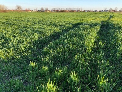 Navodnjavanje, Osječko-baranjska županija