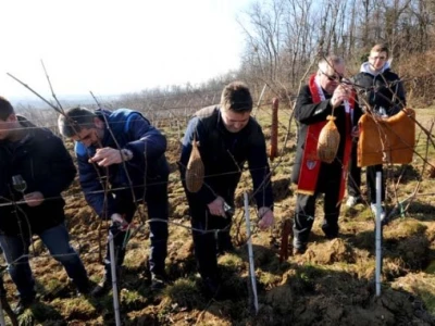 Profesori i studenti požeškog Veleučilišta s gostima proslavili Vincelovo