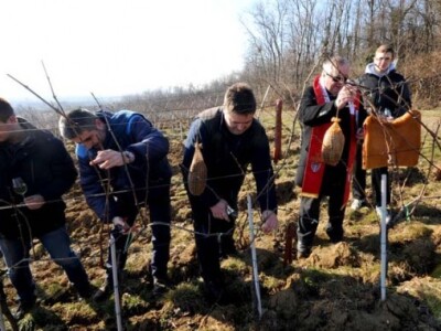 Profesori i studenti požeškog Veleučilišta s gostima proslavili Vincelovo