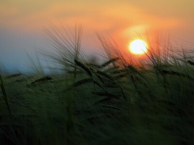 Proljeće u požeškom kraju