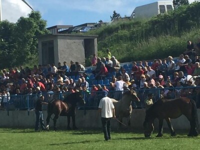 2. smotra Hrvatskog hladnokrvnjaka