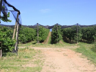 Posjet gospodarstvima