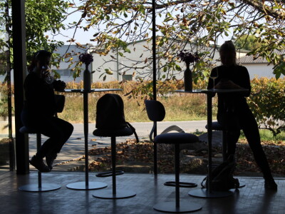 Weingut Heinrich - Biodinamička vina iz Gradišća