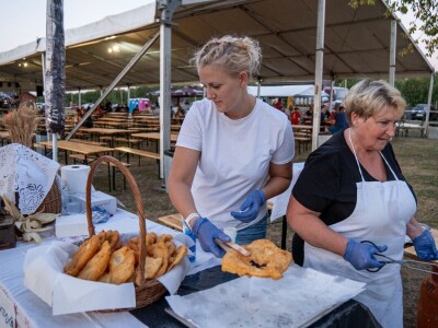 50. Olimpijada starih športova u Brođancima