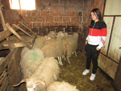 Željana Samardžija